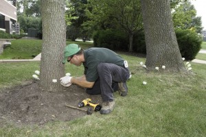 Tree injections