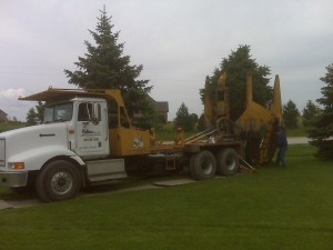 tree_moving-30