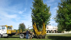 tree_moving-7