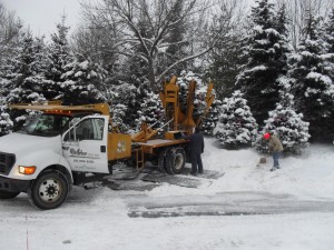 tree_moving-Marquette Bank (1)