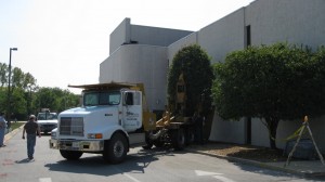 tree_moving-Marquette Bank