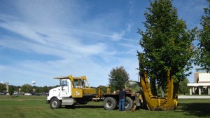 tree_moving-Purdue University (2)