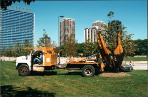 tree_relocating_Chicago